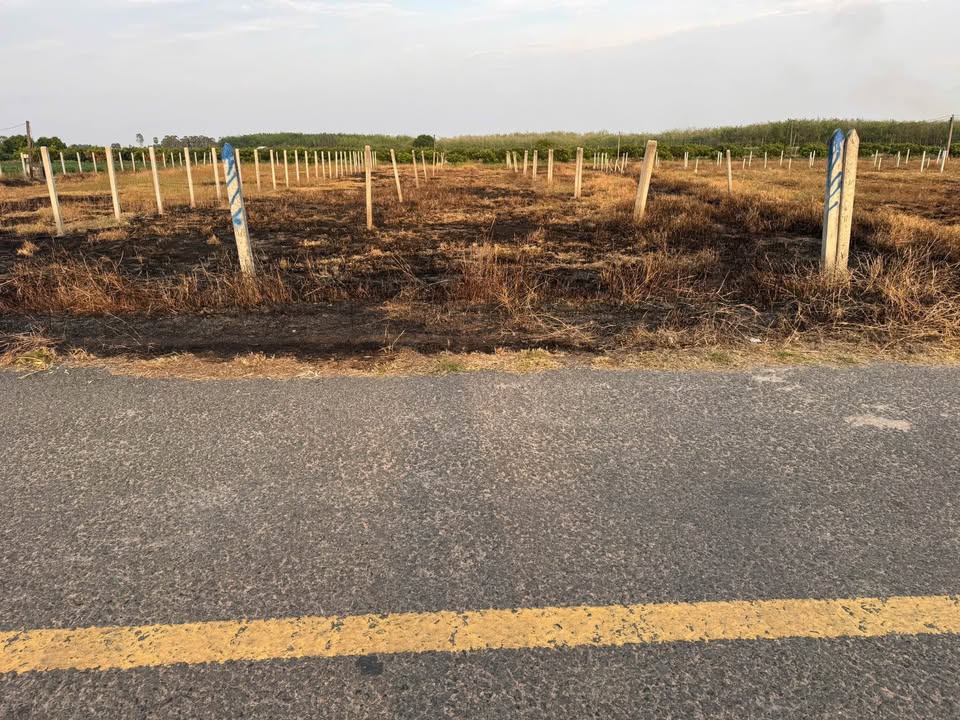 Đất Vườn 501m² Thạnh Lợi, TP. Tây Ninh - Sổ Hồng Riêng, View Núi Bà Đen