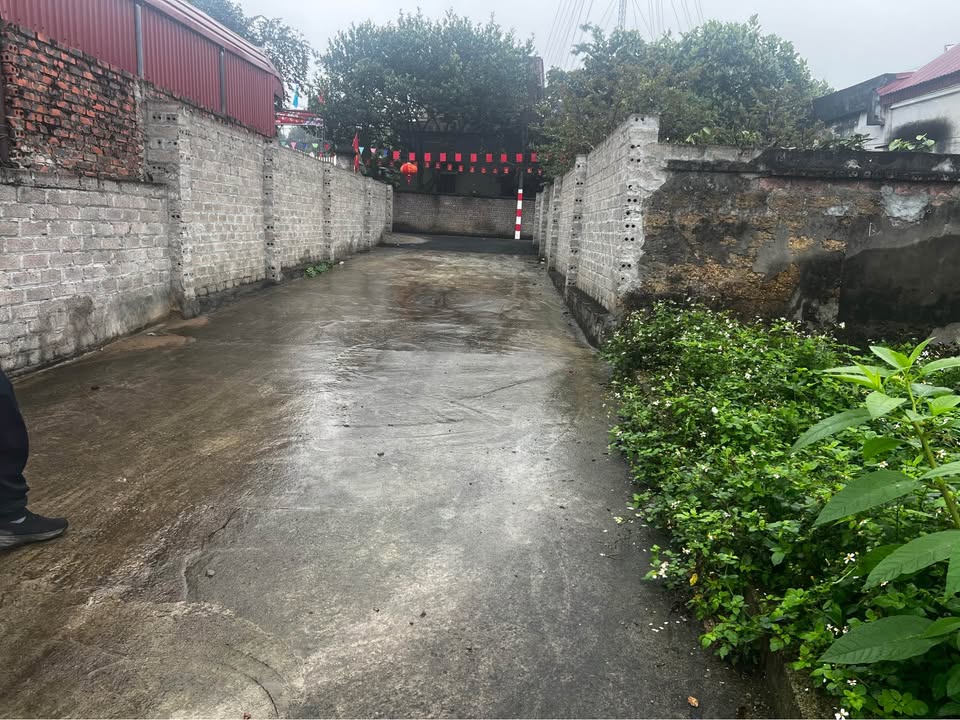 Đất nền Sơn Tây 113m² - Sổ đỏ chính chủ, đầu tư sinh lời