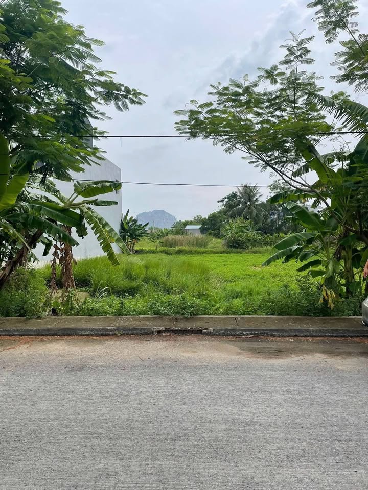 Đất nền Đông Sơn 125m² - Sổ đỏ chính chủ, ô tô tránh nhau!