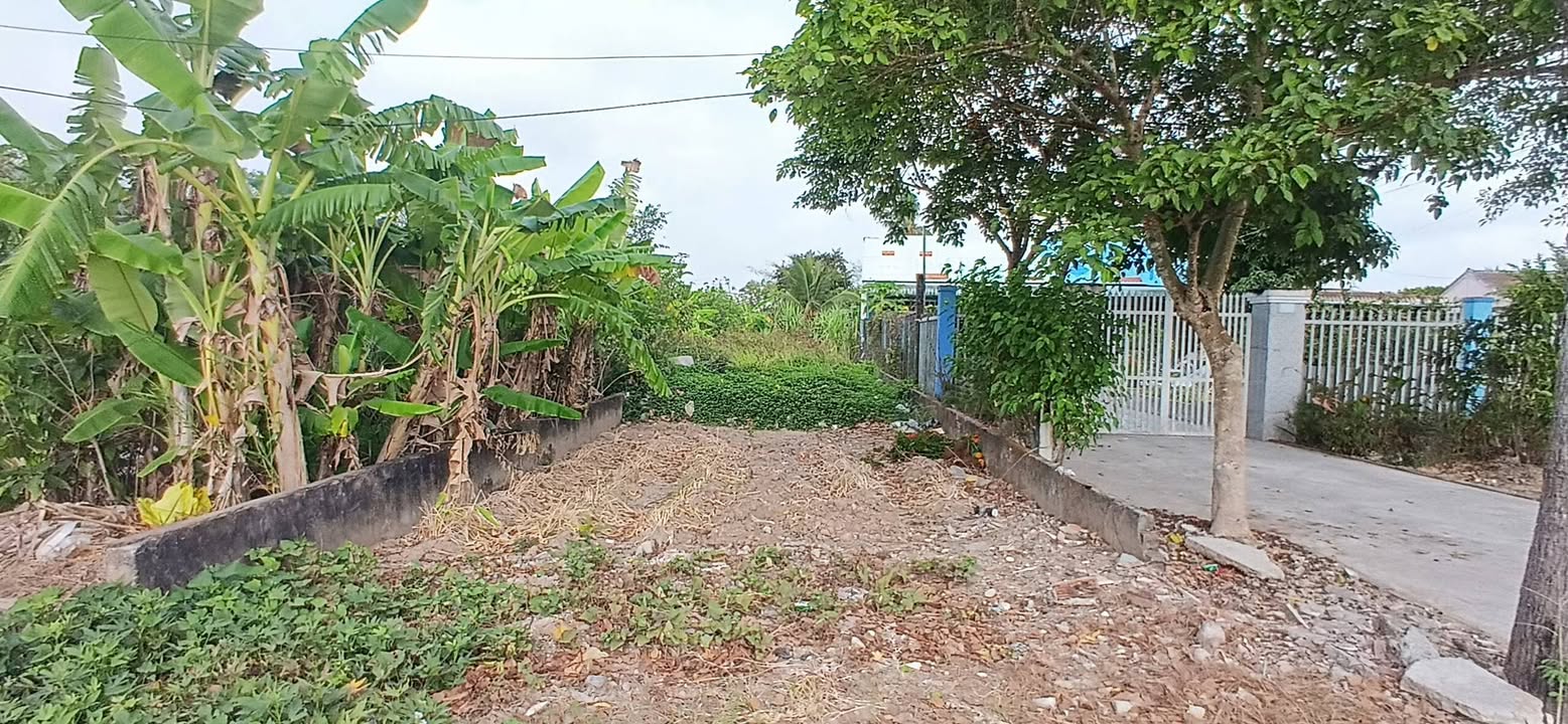 Đất nền QL1A Cần Thơ 213m² - Sổ đỏ chính chủ, đầu tư sinh lời!