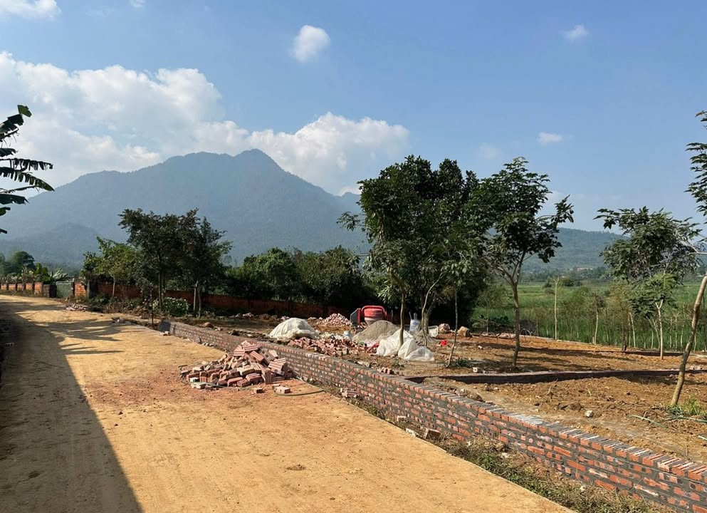 Đất nền Ba Vì 240m² full thổ cư, view đồi núi, sổ đỏ chính chủ!