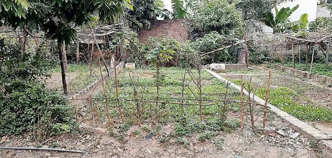 Đất nền Tiên Dương Đông Anh 50m² hơn 4 tỷ - Sổ đỏ chính chủ!