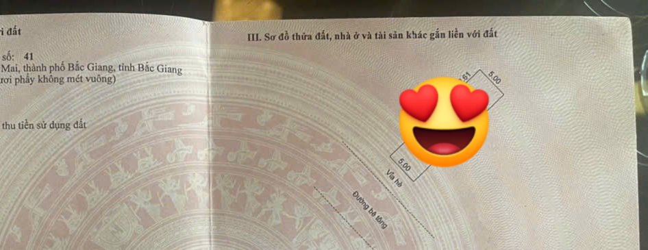 Nhà Mặt Tiền Kinh Doanh Phường Đa Mai, Bắc Giang - 90m² - Chỉ 3 Tỷ