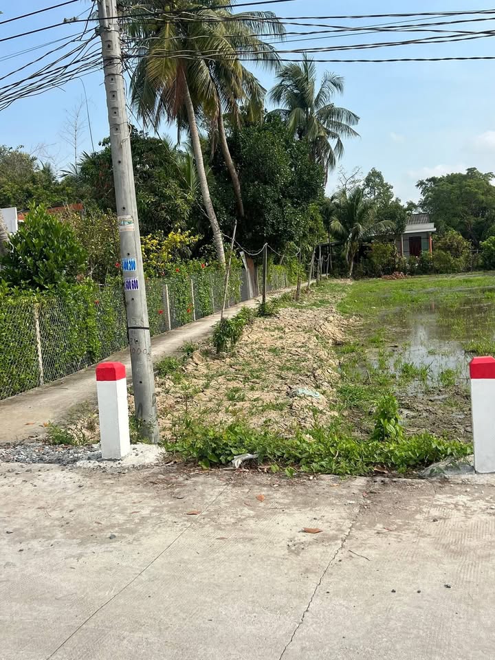 Đất Nền Tân Trụ Long An - 120m² Giá 420 Triệu, Đường Rộng Xe Hơi