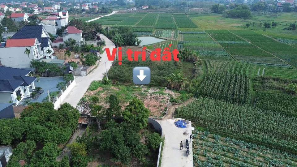 Đất Lô Góc 225m² Mặt Tiền 22m Xã Tân Dĩnh, Lạng Giang - Giá 2 Tỷ