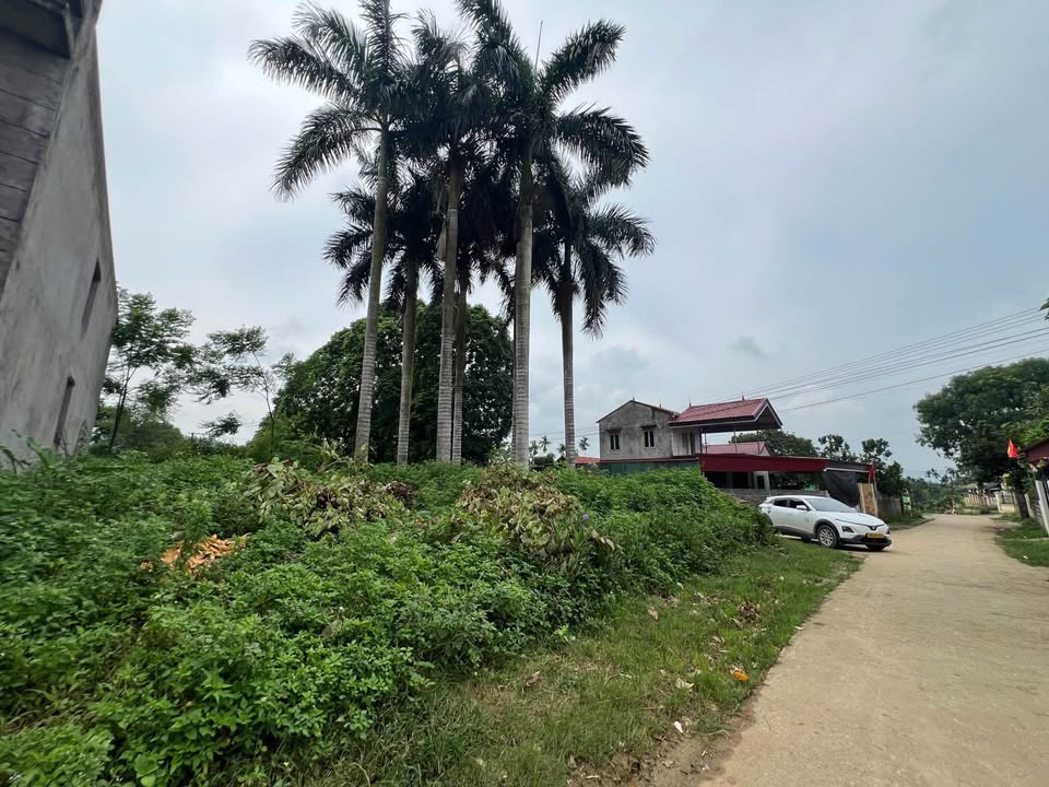 Đất nền Cao Sơn, Lương Sơn 103m² - Sổ đỏ chính chủ, giá chỉ 790 triệu!