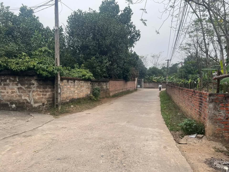 Đất nền Nông Trang Việt Trì 163.6m² - Sổ đỏ chính chủ, xây dựng tự do!