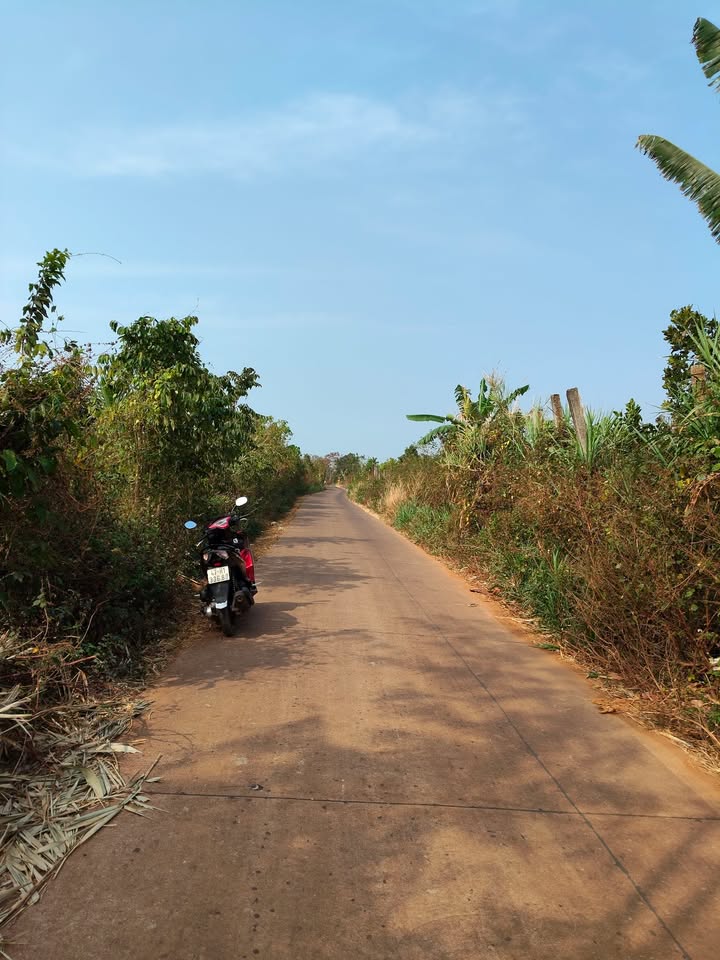 Đất Mặt Tiền Ea Tar, Cư M'gar - 1400m² Thổ Cư, Sẵn Sàng Đầu Tư