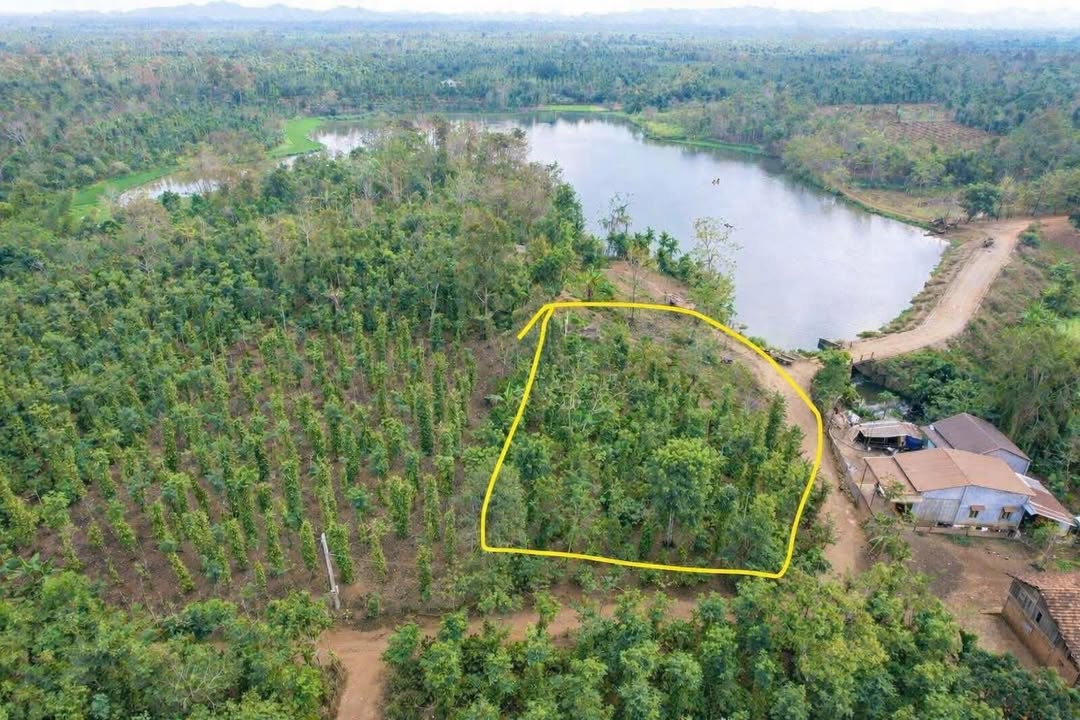 Đất nền Ea Tiêu 1277m² view hồ - Pháp lý rõ ràng