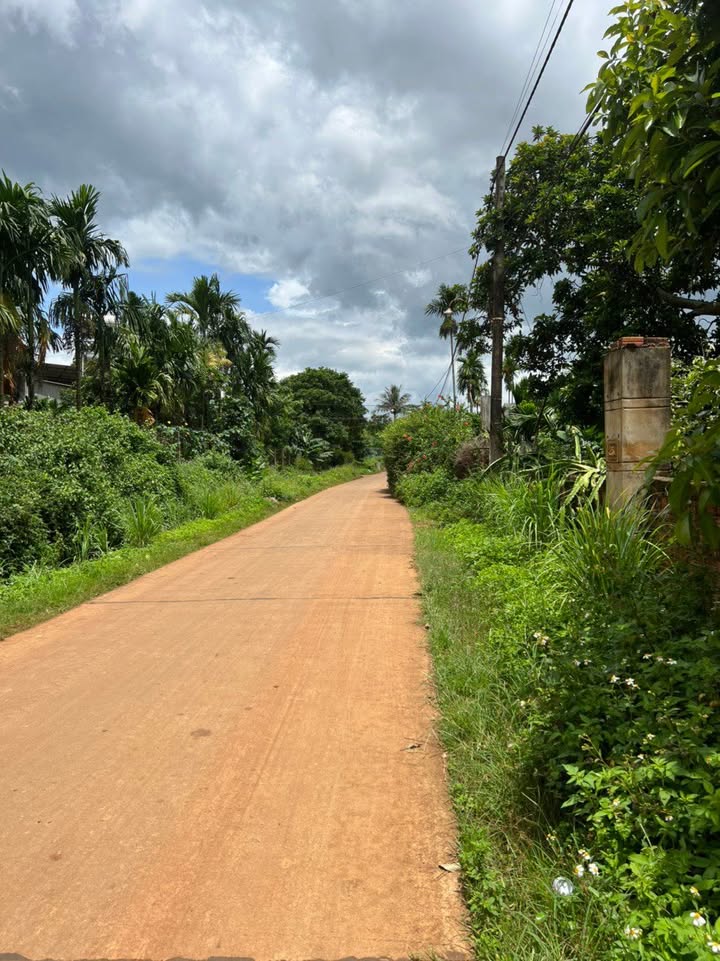 Bán đất Cư Kuin Đắk Lắk 125m² giá 1.1 tỷ - Sổ đỏ chính chủ