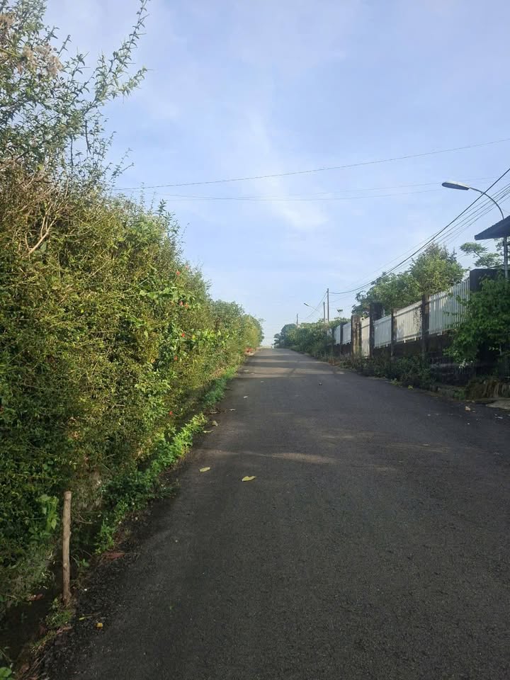 Đất nền Bảo Lộc 546m² đường lớn ô tô - Pháp lý rõ ràng!