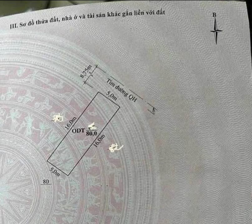Đất nền 80m² Mường Thanh, Đống Đa - Sổ đỏ sẵn, xây tự do