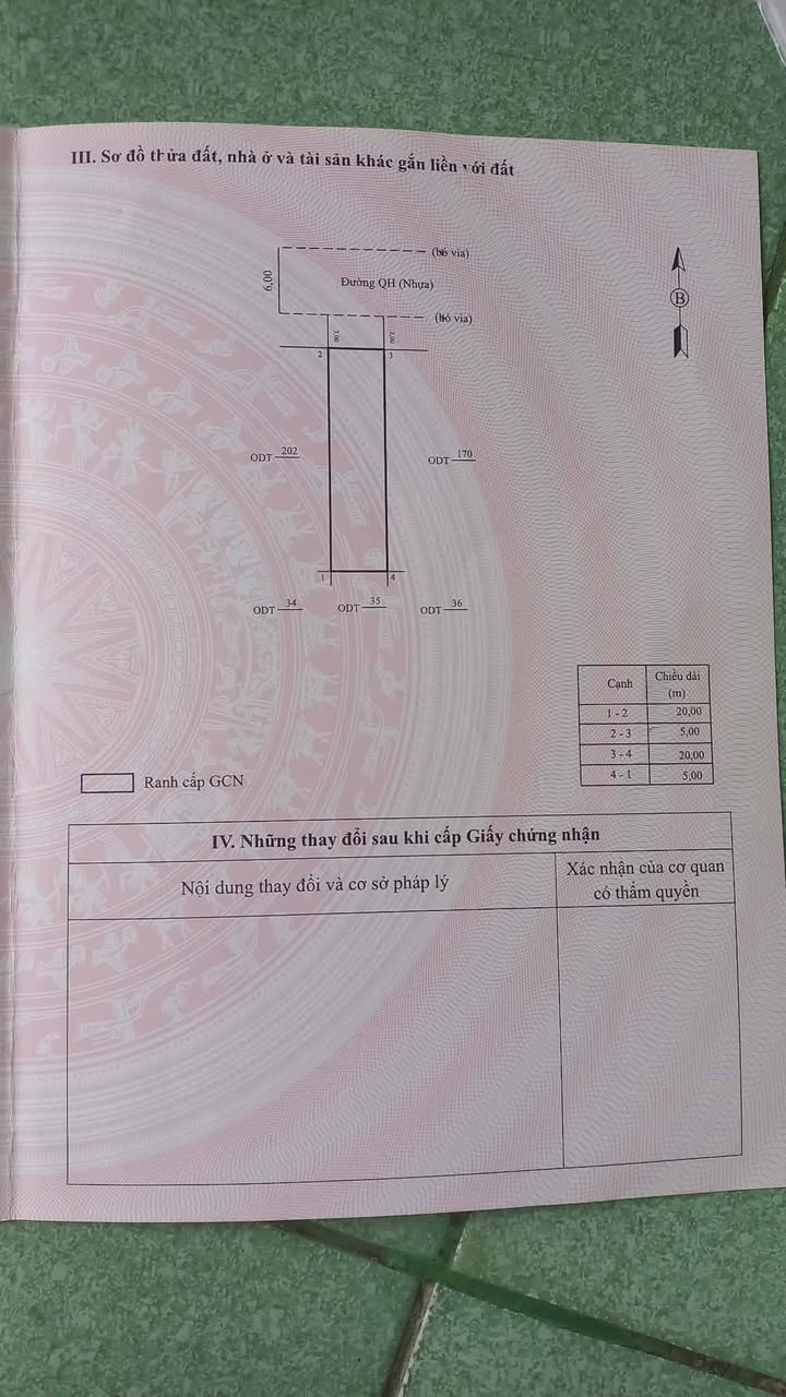 Đất Nền Diêu Trì 100m² - Sổ Hồng Sẵn Sàng - Gần Chợ & Công Viên