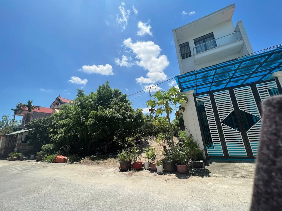 Đất nền 153m² Đường Vũ Tiến Trung, Nghi Sơn - Sổ hồng full thổ cư, hướng Bắc, giá 1 tỷ XXX