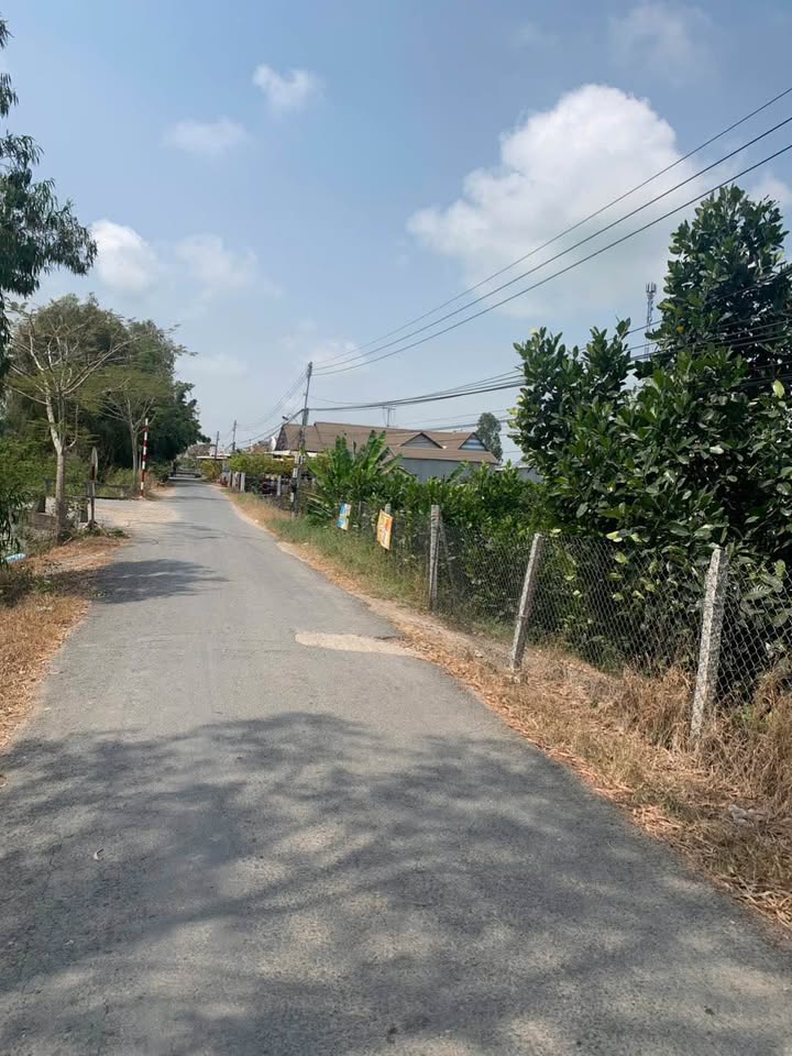 Bán Đất Vườn 1565m² Mặt Tiền Kênh 7, Châu Đốc - Giá 950 Triệu