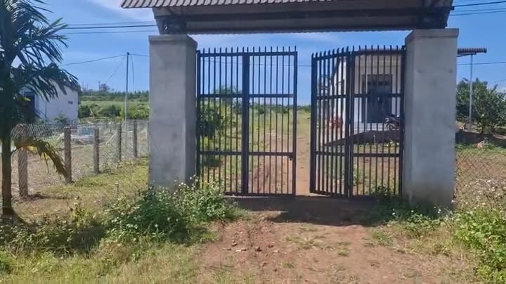 Bán Gấp Farm 9.8 Sào Ea Drông, Đắk Lắk - Giá 2.5 Tỷ