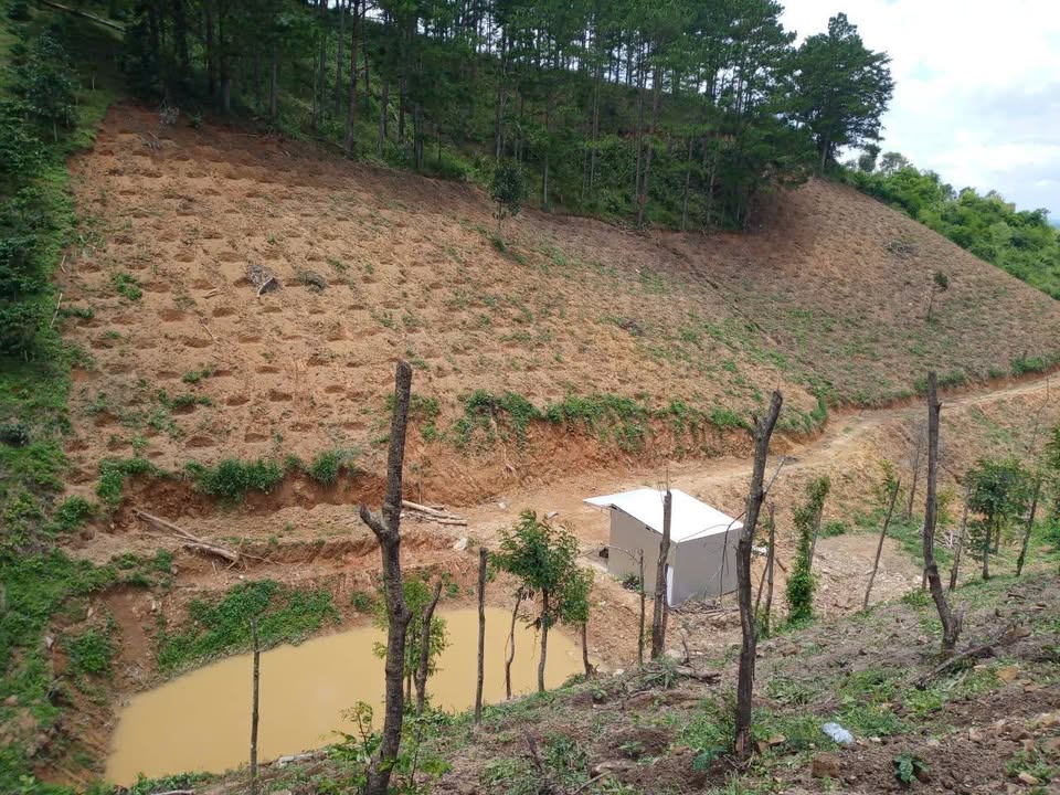 Bán Đất Vườn 10000m² Tại Đức Trọng, Lâm Đồng - Tiềm Năng Sinh Lời Cao