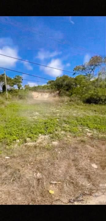 Đất nền Thôn 7 Đắk Drô, Krông Nô 590 triệu - Giá đầu tư tốt!