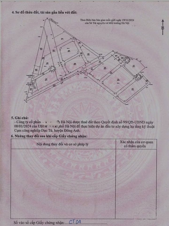 Đất Thương mại Dịch vụ Đông Anh 1000m² - Tiềm năng tăng giá vượt trội!