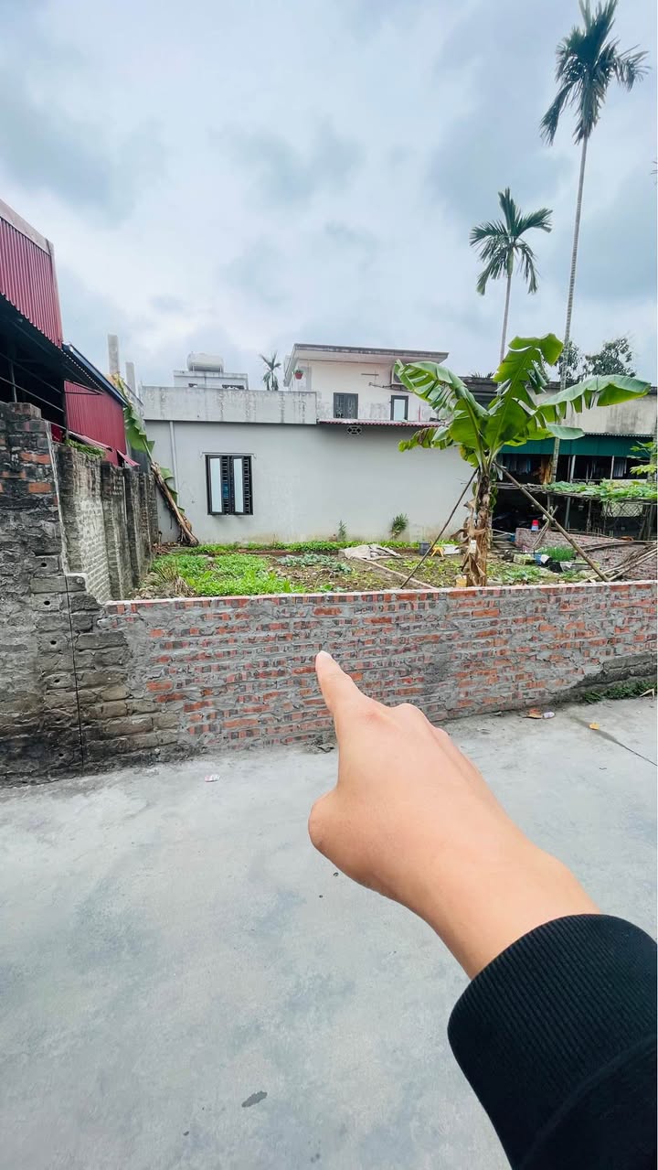 Đất nền An Đồng An Dương 50m² giá 1 tỷ - Sổ đỏ chính chủ!