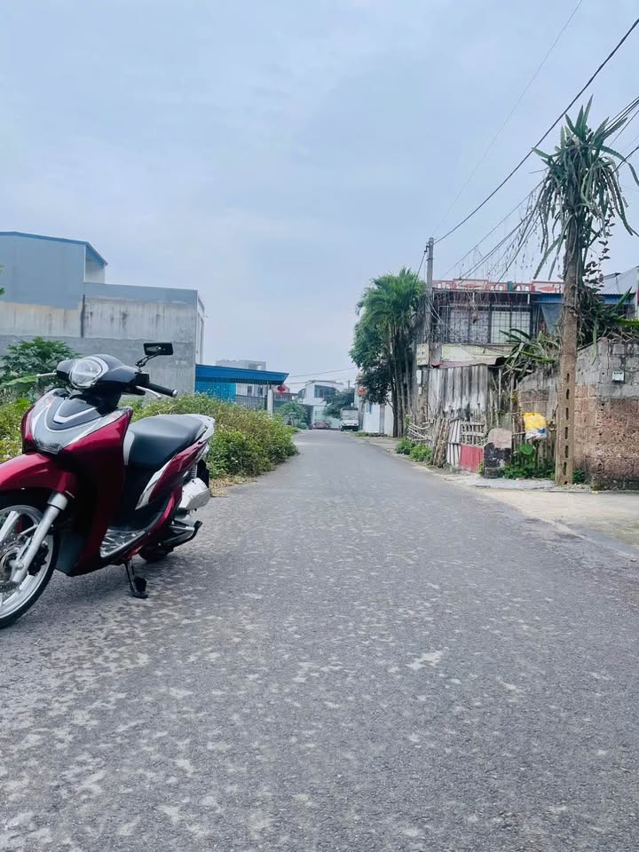 Đất nền An Lão 100m² Hải Phòng - Sổ đỏ chính chủ, đường ô tô!