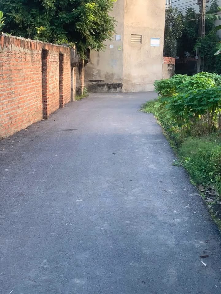 Bán Đất Vĩnh Tường 130m² Sổ Hồng Chính Chủ - Vị Trí Trung Tâm