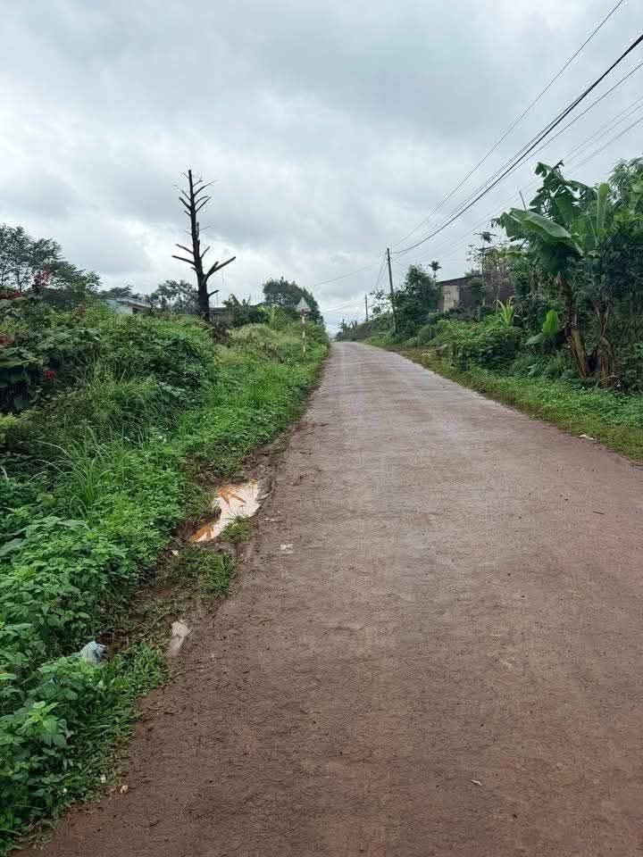 Mặt Tiền Kinh Doanh Sư Vạn Hạnh, Buôn Hồ - 150m² Giá Tốt