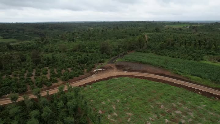 Đất vườn 1.75 HA Ea Siên, Buôn Hồ - Sổ hồng sẵn, ô tô vào tận nơi!