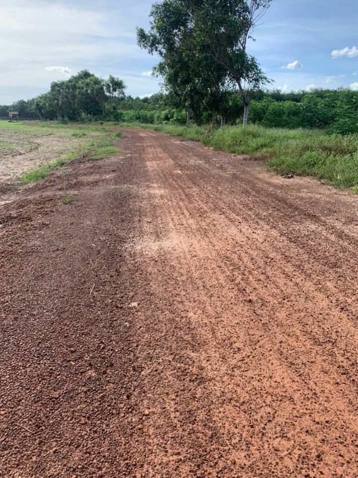 Đất Vườn 10.000m² Mặt Tiền Sông Tha La, Tân Châu, Tây Ninh - Giá Tốt