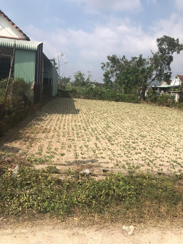 Đất nền Thôn Phú Lạc, Tây Sơn 140m² - Đường to ô tô, giá chỉ 5xx triệu