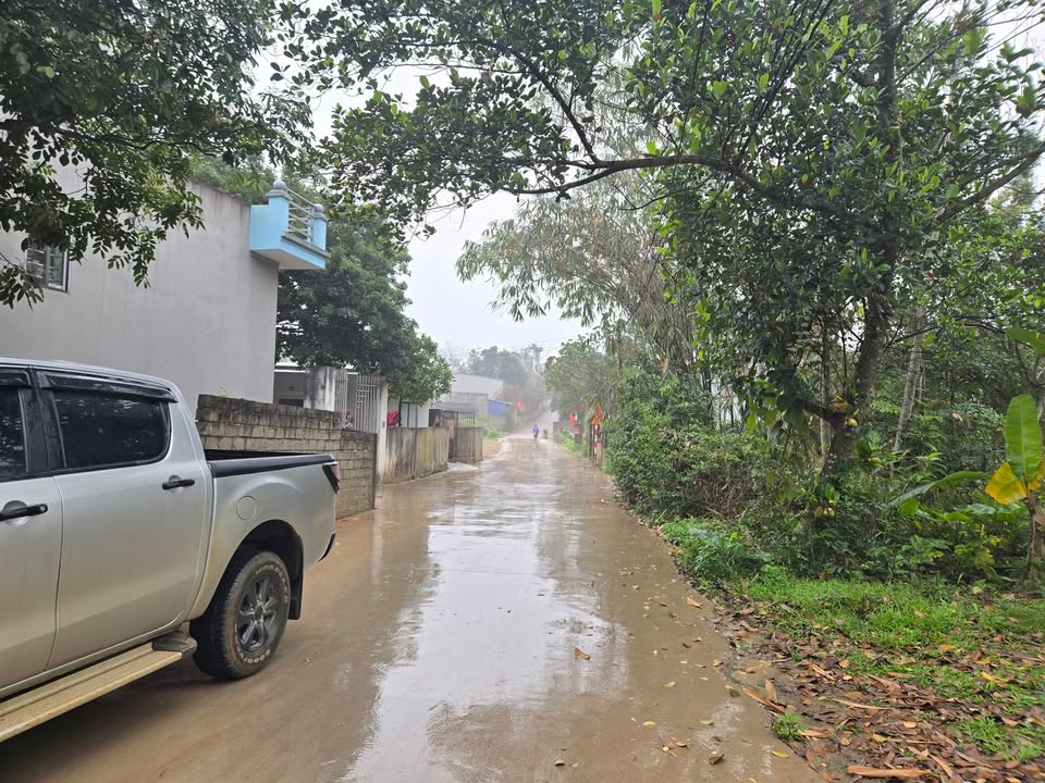 Đất nền Lương Sơn 200m² ngay KCN - Tiềm năng tăng giá vượt trội!