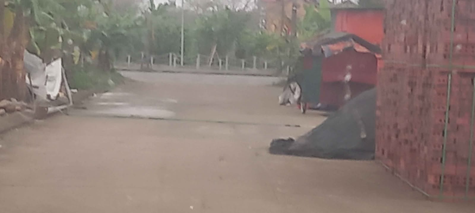 Đất nền Đồng Trằm Hoa Lư 111m² - Tiềm năng tăng giá vượt trội!