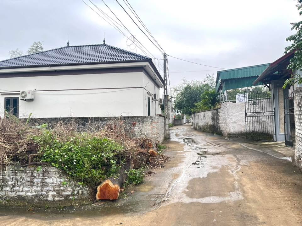 Đất nền Đồng Việt Yên Dũng 100m² giá 900 triệu - Lô góc 2 mặt tiền cực đẹp!