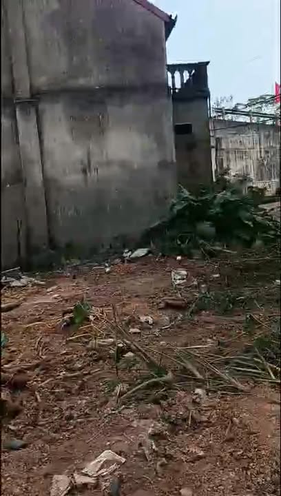 Đất nền Phù Ninh 110m² 820 triệu - Sổ đỏ chính chủ, đường ô tô!