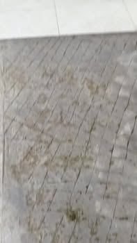 Cho thuê Phòng trọ Mới Xây Việt Trì - Gác Xép Rộng, Đủ Tiện Nghi