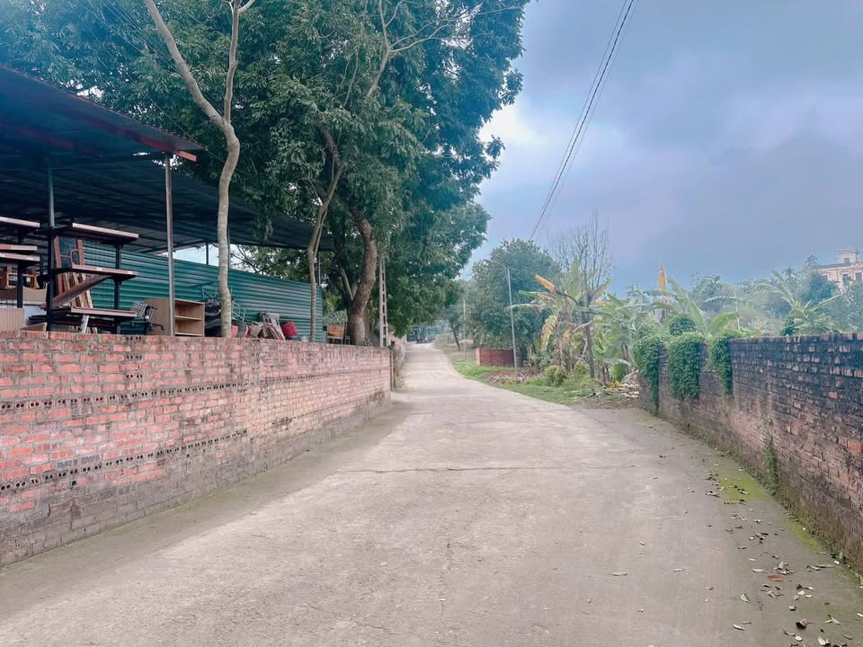 Đất nền Khu 5 Vân Phú 98.7m² – Sổ đỏ chính chủ, đường ô tô tránh!