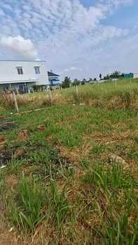 Đất Thổ Cư Lương Văn Bào, Cần Giuộc 100m² - Sổ Đỏ Chính Chủ!