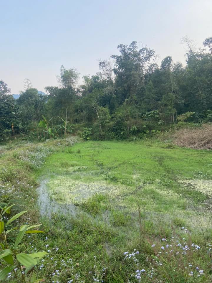 Bán đất 18.000m² Xã Cốc San, Lào Cai - Tiềm năng làm Trang trại, Hồ câu