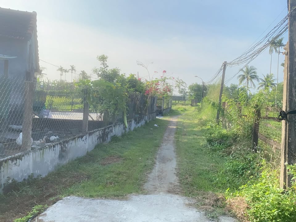 Đất Nền Thăng Bình Quảng Nam 125m² - View Đồng Ruộng Thanh Bình