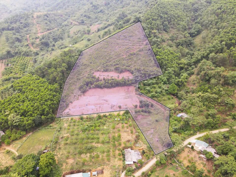 Đất Vườn Hòa Bình 9300m² - Tiềm năng Farm/Homestay, Giá 2.x Tỷ