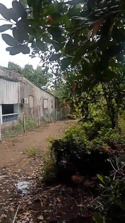 Bán Nền Thổ Cư 240m² Mặt Sông Lai Vung, Đồng Tháp - Giá 600 Triệu