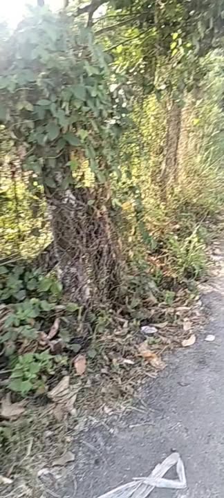 Đất Nền Mặt Tiền 30/4, Đạ Tẻh - 420m² Giá Đầu Tư 10.5 Tỷ