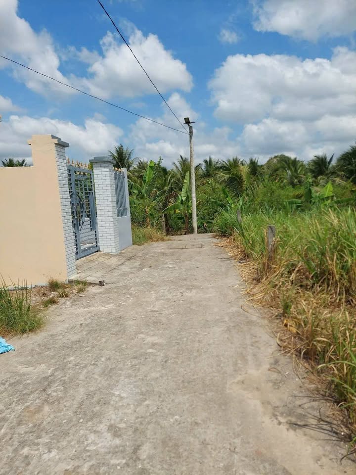 Bán gấp đất nền 120m² Bến Tre, hẻm Vườn Hồng Anny, giá 750 triệu