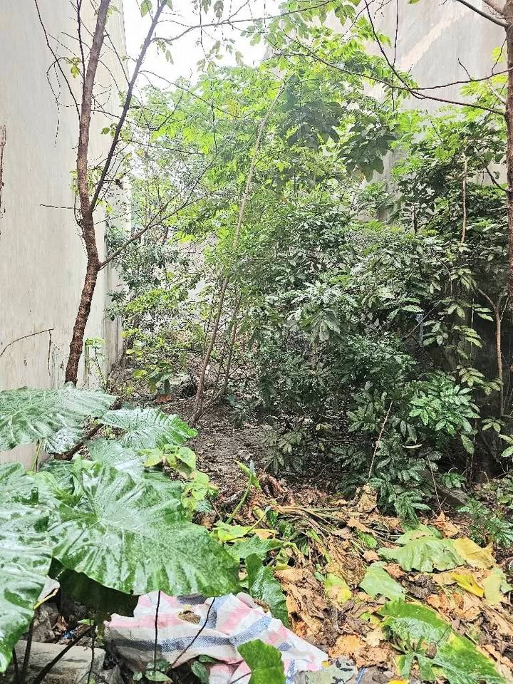 Đất Nền Ngũ Hiệp - 80m² Gần Ga Bắc Nam, Tiềm Năng Tăng Giá Vượt Trội