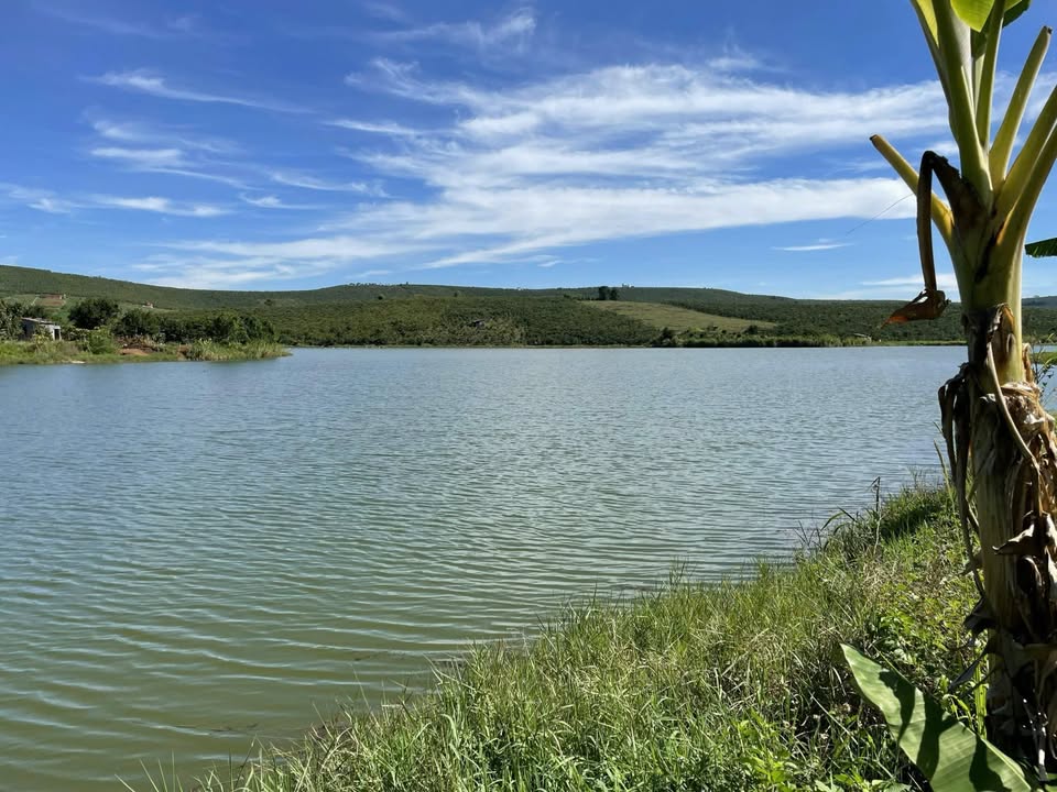 Đất Nghỉ Dưỡng Bảo Lâm 6000m² Chạm Hồ Đăc Lé - View Cực Phẩm!