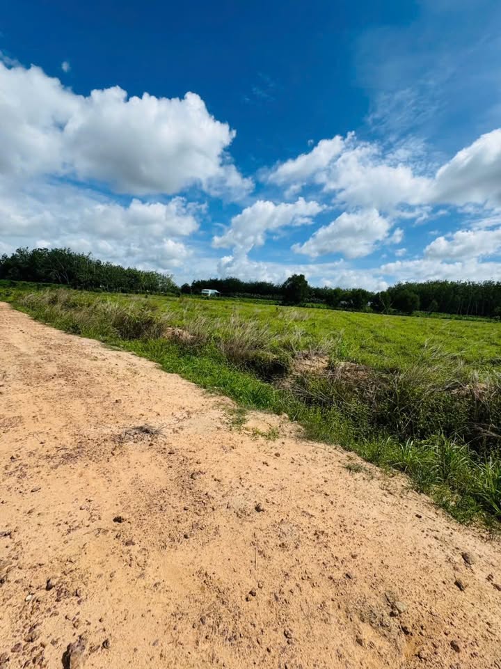 Đất nền An Cơ, Châu Thành, Tây Ninh 100.000m² - Sổ đỏ chính chủ