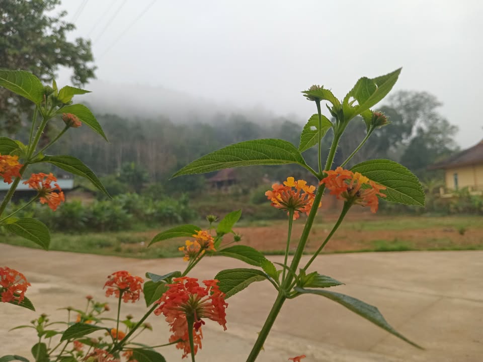 Nhà máy CCN Đa Phúc Thái Nguyên 3500m² - Dòng tiền ổn định!