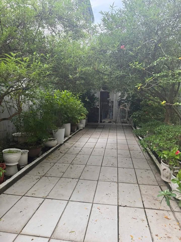 Nhà Cấp 4 Hoàng Thế Thiện, Hòa Xuân 93m² - Dòng Tiền 7 Triệu/Tháng