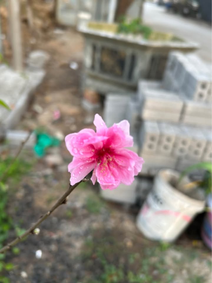 Đất nền Tam Điệp, Ninh Bình 102m² - Sổ đỏ chính chủ!