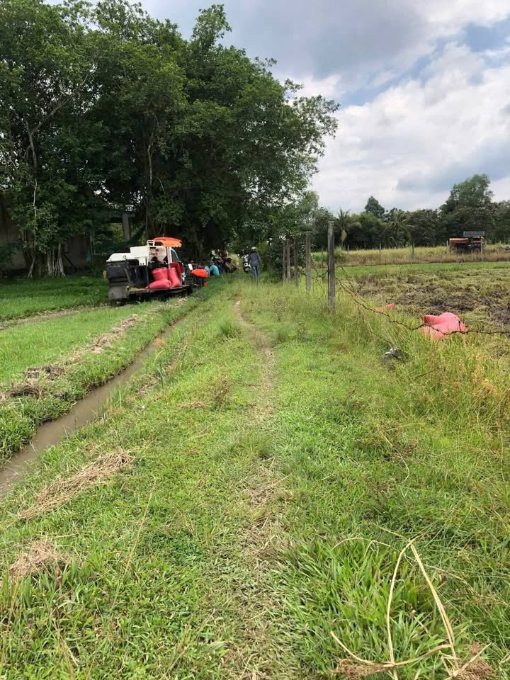 Đất ruộng Củ Chi 2133m² giá 2.1 tỷ - Tiềm năng tăng giá!